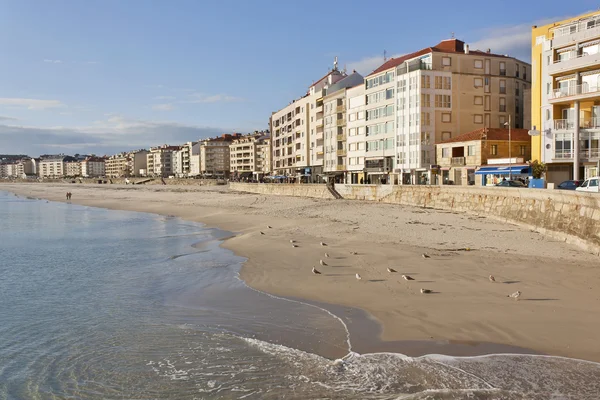 Mouettes sur la plage de Silgar — Photo