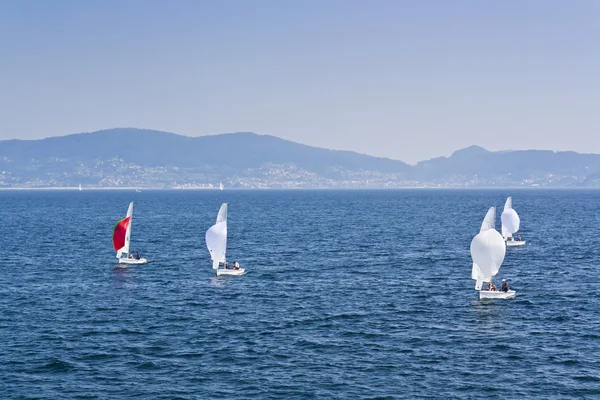 Zeilregatta op de zee — Stockfoto