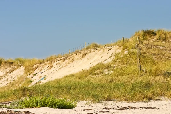 Düne an der Küste der Insel Areoso — Stockfoto