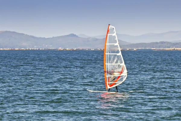 Windsurfing na morzu — Zdjęcie stockowe