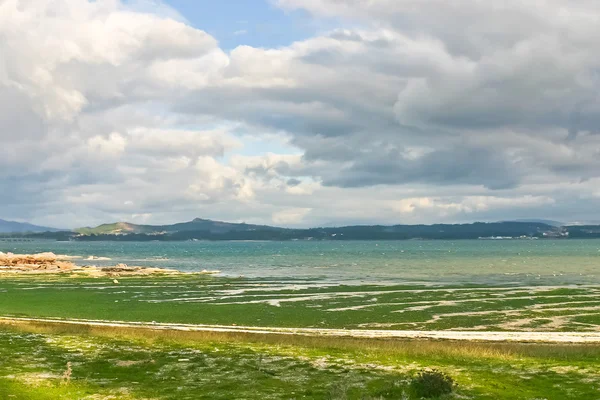 Green beach in Arousa Island — Stock Photo, Image