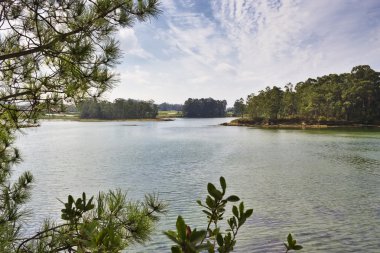Vilanova de Arousa estuary