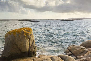 Midye kültür sallar