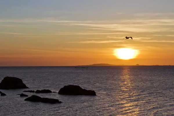 Salvora Island at Sunset — Stock Photo, Image