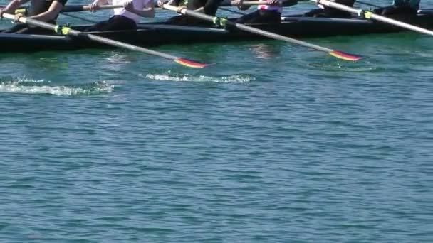 Rowing slow motion full HD video — Stock Video