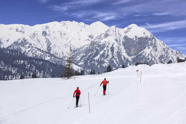 Langlaufen-Langlaufen — Stockfoto