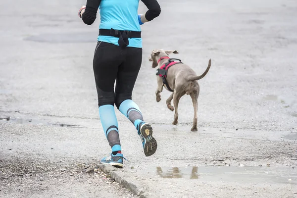 Mujer corriendo con perro — Foto de Stock