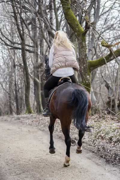 Chica montando un caballo en el bosque — Foto de Stock
