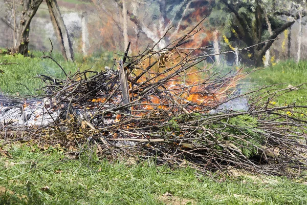 Feu et fumée pendant le brûlage des branches — Photo