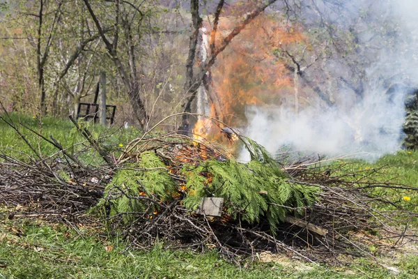 Feu et fumée pendant le brûlage des branches — Photo