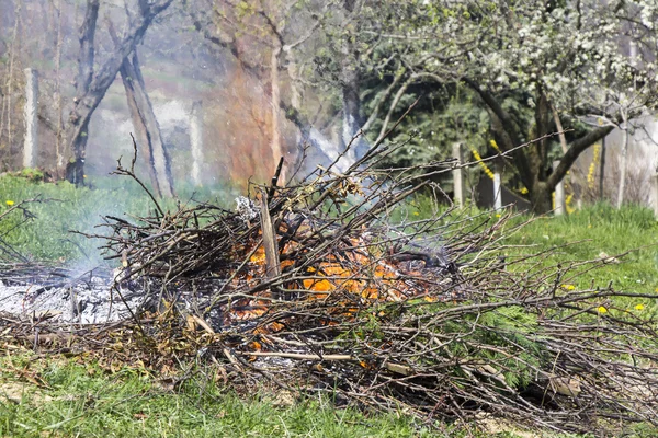 Feu et fumée pendant le brûlage des branches — Photo