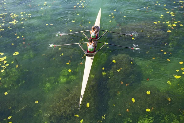 İki rowers kürek — Stok fotoğraf