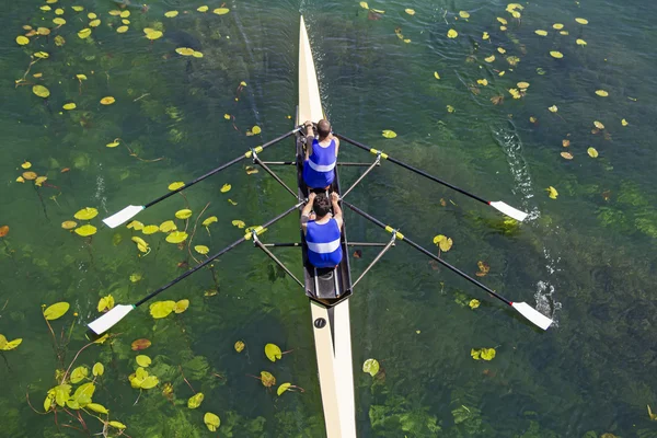 Two rowers  rowing — Stock Photo, Image