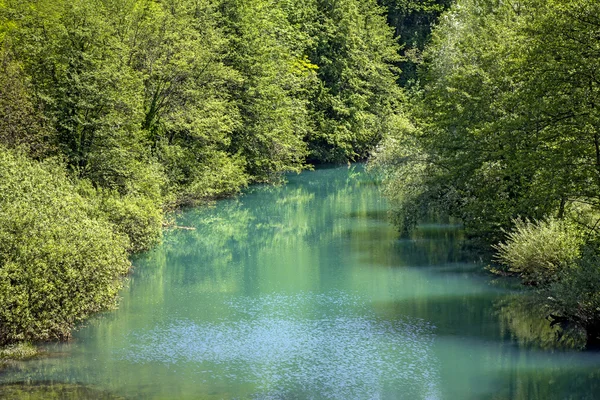 Красивая природа и зеленая река — стоковое фото
