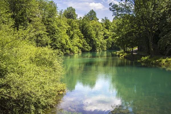 Beautiful nature and green river — Stock Photo, Image