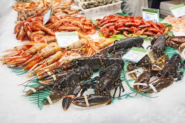 Langostas, camarones y gambas — Foto de Stock