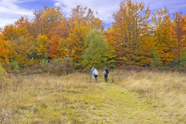 两个女人和一个男人走在一条长满秋假的远足森林小径上 — 图库照片