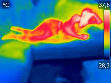 Thermal image Young woman is lying on the bed clipart
