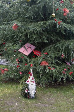 Hırvatistan 'ın Opatija kentindeki bir şehir parkında Noel süsü olarak çam dallarından yapılmış küçük bahçe cücesi