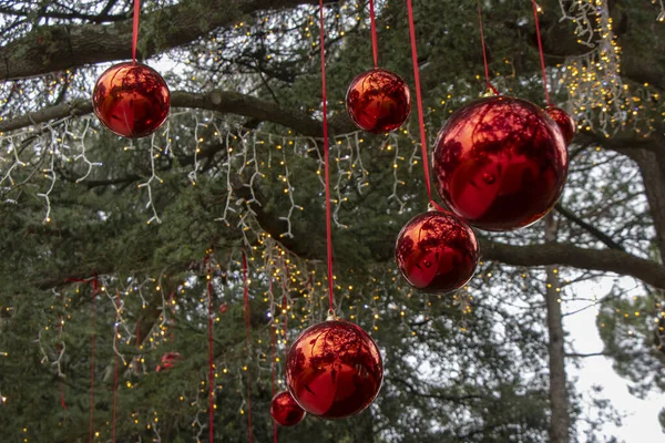 街のパーで木の上に赤いクリスマスボールとクリスマスの装飾 — ストック写真