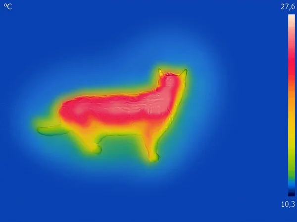 Imagen Térmica Infrarroja Gato Doméstico — Foto de Stock