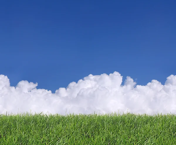 Nubes sin costura y hierba —  Fotos de Stock