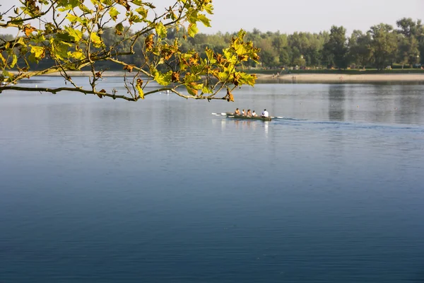 Remando no lago calmo — Fotografia de Stock