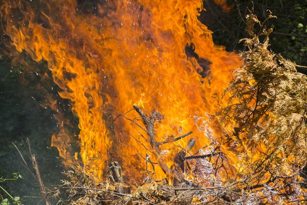 Burning fire flame — Stock Photo, Image