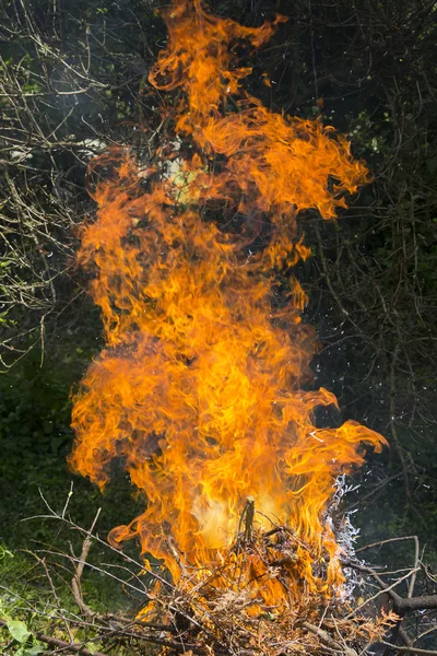 Burning fire flame — Stock Photo, Image