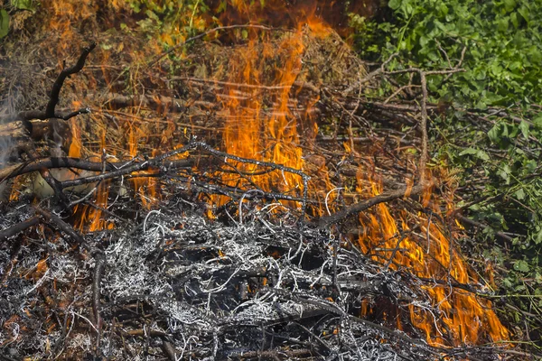 Burning fire flame — Stock Photo, Image