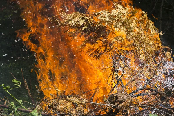 Brinnande eldslåga — Stockfoto