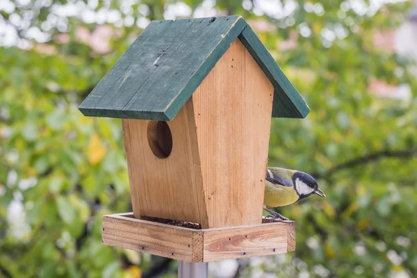 Titmouse feeding — Stock Photo, Image