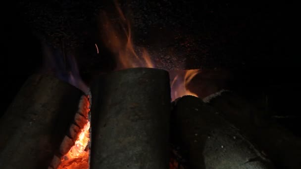 Fire in a fireplace — Stock Video