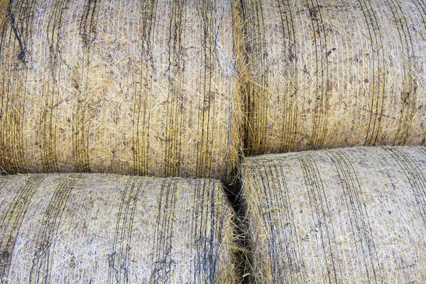 Bales of hay — Stock Photo, Image