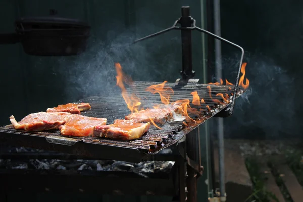 Kızarmış domuz pirzolası — Stok fotoğraf