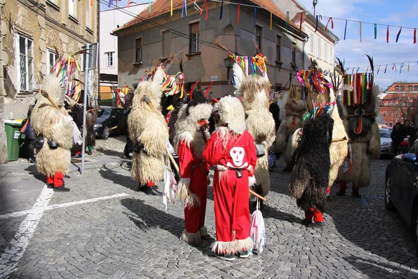 Ptuj kurents máscara de carnaval —  Fotos de Stock