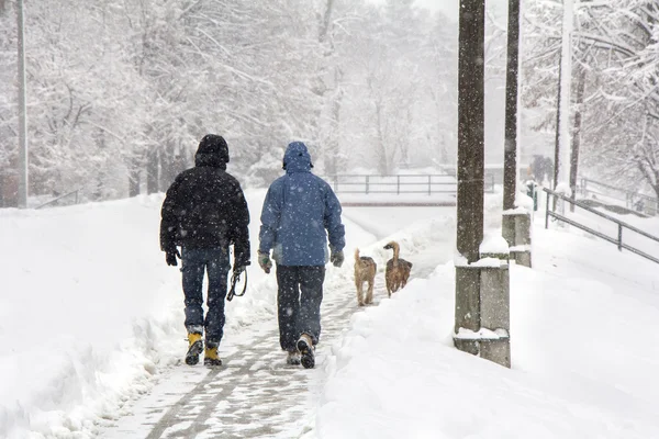 Marcher dans la neige — Photo