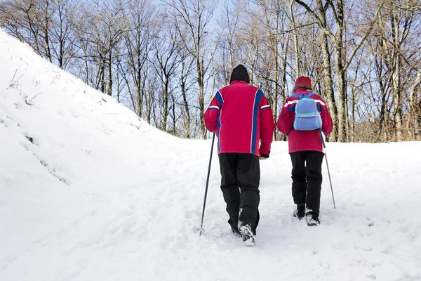 Wandern im Schneewald — Stockfoto