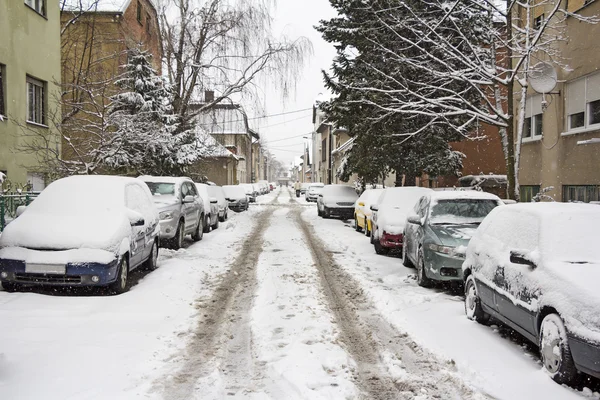 Припаркованные машины, покрытые снегом — стоковое фото