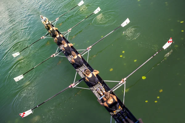 Sekiz tekne coxed — Stok fotoğraf