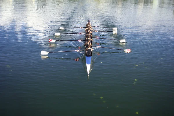 Coxed oktosylerbar — Stockfoto