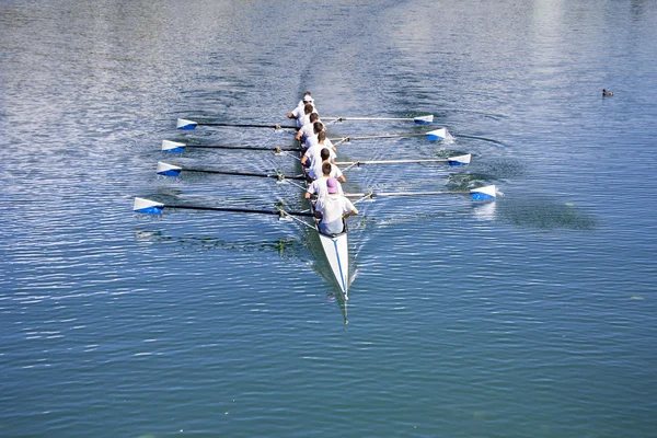 Boat coxed eight Rowers rowing — Stock Photo, Image