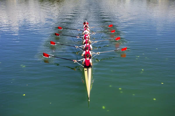 Boot-met-stuurman acht roeiers roeien — Stockfoto