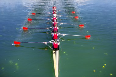 Tekne sekiz Rowers kürek coxed