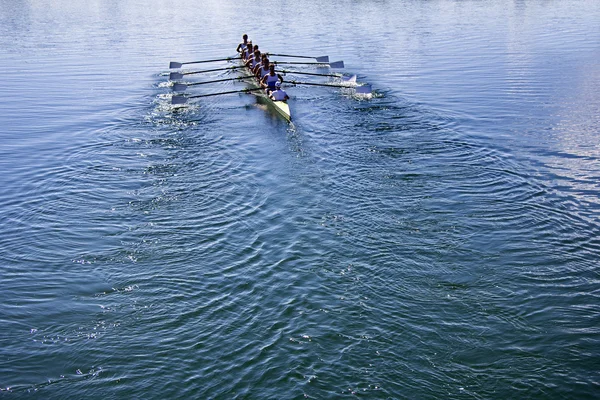 Loď coxed osm veslaři veslování — Stock fotografie