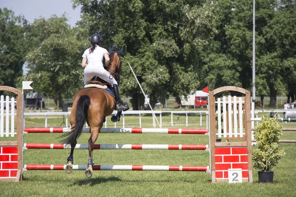 Horsewoman — Stock Photo, Image