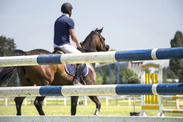 Show jumping — Stock Photo, Image