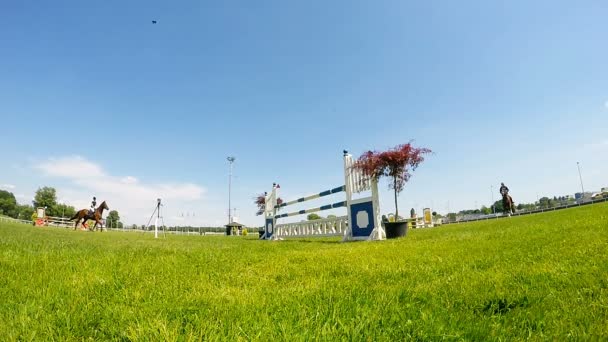 Show jumping — Stock Video