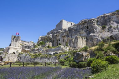 Chateau des Baux