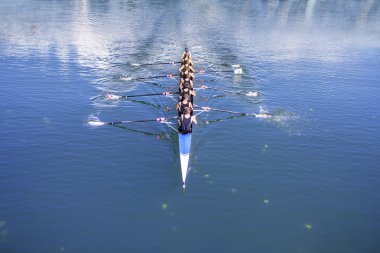 Tekne ile sekiz Rowers coxed